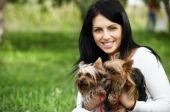 Welche Hunde versichert werden sollten
